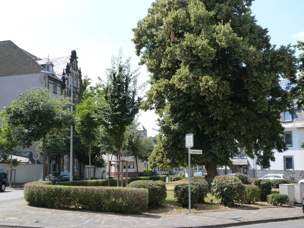 Hotel Jaegerhof Mayen Bagian luar foto